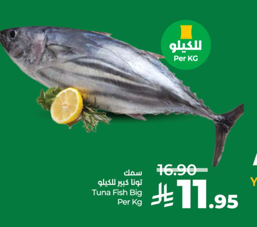 available at لولو هايبرماركت in مملكة العربية السعودية, السعودية, سعودية - حائل‎