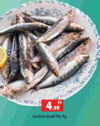 available at جلف هايبرماركت ذ.م.م in الإمارات العربية المتحدة , الامارات - رَأْس ٱلْخَيْمَة