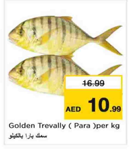 available at نستو هايبرماركت in الإمارات العربية المتحدة , الامارات - الشارقة / عجمان