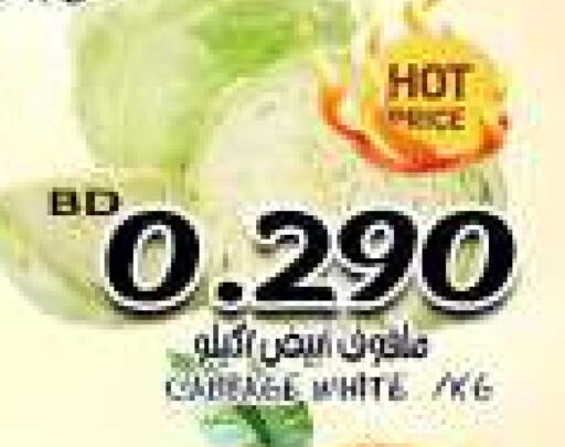 Cabbage available at مجموعة حسن محمود in البحرين