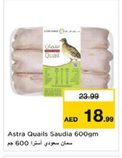 available at نستو هايبرماركت in الإمارات العربية المتحدة , الامارات - الشارقة / عجمان