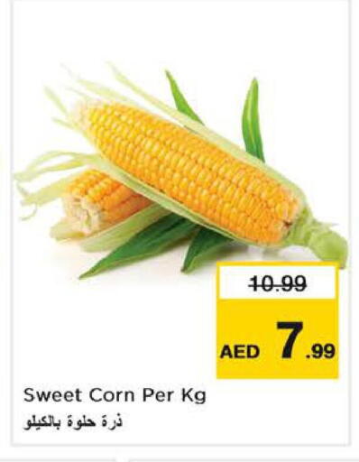 available at Nesto Hypermarket in UAE - Dubai