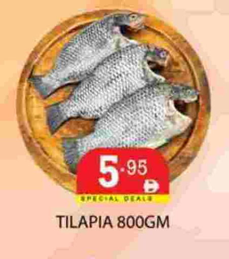 available at زين مارت سوبرماركت in الإمارات العربية المتحدة , الامارات - رَأْس ٱلْخَيْمَة