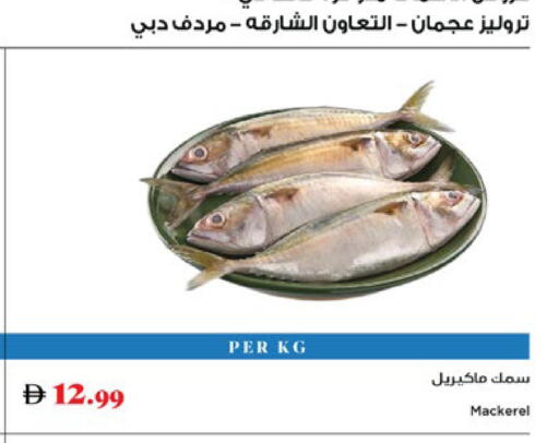 available at تروليز سوبرماركت in الإمارات العربية المتحدة , الامارات - الشارقة / عجمان