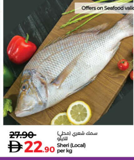 available at لولو هايبرماركت in الإمارات العربية المتحدة , الامارات - أم القيوين‎