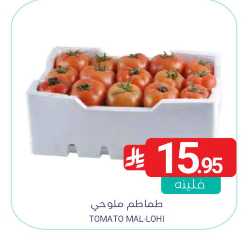 Tomato available at اسواق المنتزه in مملكة العربية السعودية, السعودية, سعودية - المنطقة الشرقية