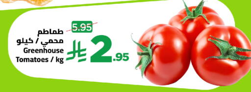 Tomato available at وهج مارت in مملكة العربية السعودية, السعودية, سعودية - جدة