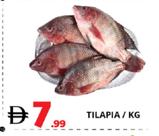 available at EXPRESS AL MADEENA HYPERMARKET LLC in UAE - Abu Dhabi