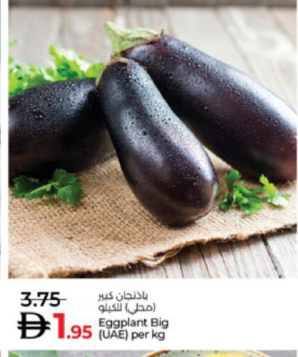Eggplant available at لولو هايبرماركت in الإمارات العربية المتحدة , الامارات - ٱلْعَيْن‎