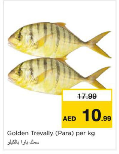 available at نستو هايبرماركت in الإمارات العربية المتحدة , الامارات - الشارقة / عجمان