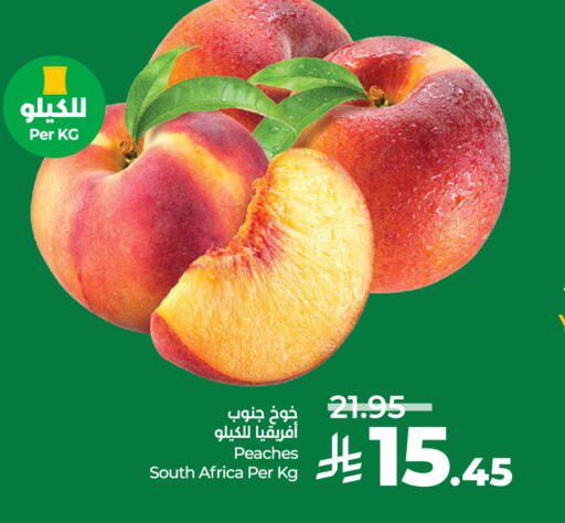 from South Africa available at لولو هايبرماركت in مملكة العربية السعودية, السعودية, سعودية - حائل‎