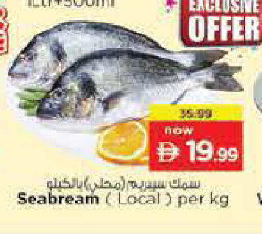 available at نستو هايبرماركت in الإمارات العربية المتحدة , الامارات - ٱلْفُجَيْرَة‎