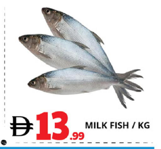 available at EXPRESS AL MADEENA HYPERMARKET LLC in UAE - Abu Dhabi