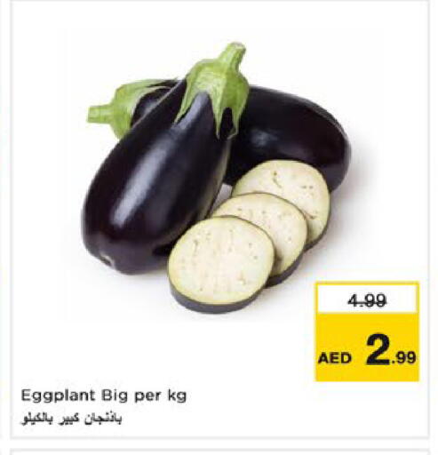Eggplant available at Nesto Hypermarket in UAE - Dubai