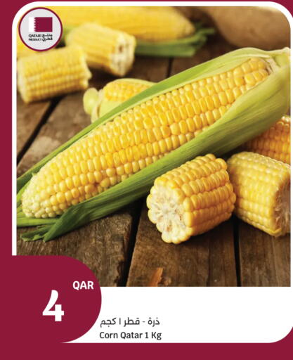from Qatar available at سيتي هايبرماركت in قطر - الريان