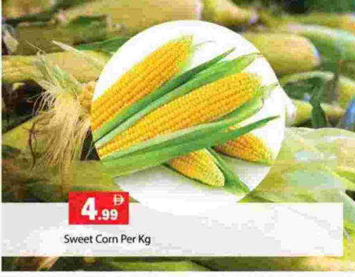 available at جلف هايبرماركت ذ.م.م in الإمارات العربية المتحدة , الامارات - رَأْس ٱلْخَيْمَة