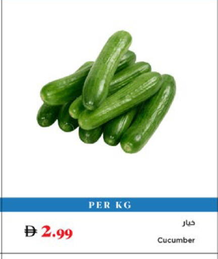 Cucumber available at تروليز سوبرماركت in الإمارات العربية المتحدة , الامارات - الشارقة / عجمان