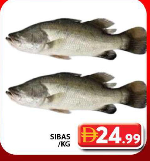 available at جراند هايبر ماركت in الإمارات العربية المتحدة , الامارات - دبي