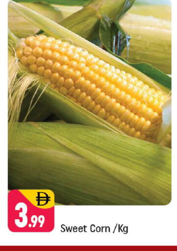 available at شكلان ماركت in الإمارات العربية المتحدة , الامارات - دبي