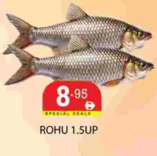 available at زين مارت سوبرماركت in الإمارات العربية المتحدة , الامارات - رَأْس ٱلْخَيْمَة