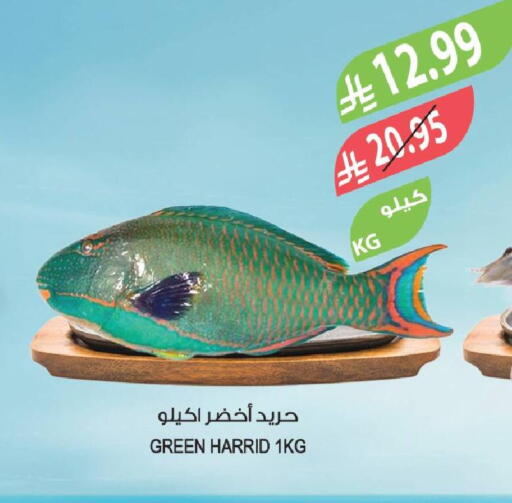 available at Farm  in KSA, Saudi Arabia, Saudi - Sakaka