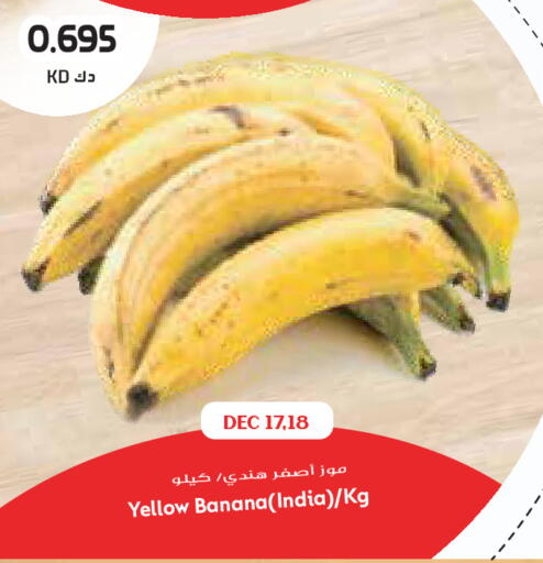 Banana from India available at Grand Costo in Kuwait - Ahmadi Governorate