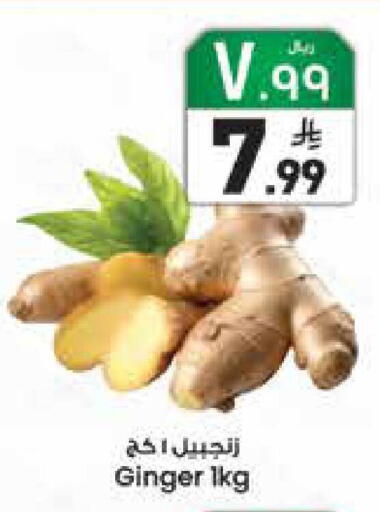 Ginger available at ستي فلاور in مملكة العربية السعودية, السعودية, سعودية - الجبيل‎