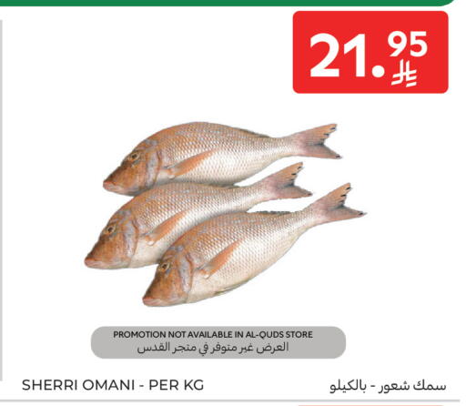 available at Carrefour in KSA, Saudi Arabia, Saudi - Sakaka