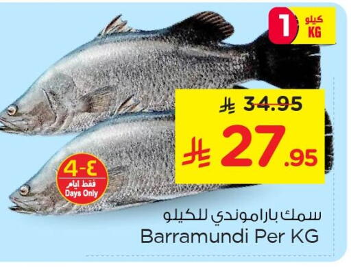 available at نستو in مملكة العربية السعودية, السعودية, سعودية - الأحساء‎