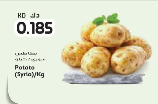 Potato from Syria available at جراند كوستو in الكويت - محافظة الأحمدي