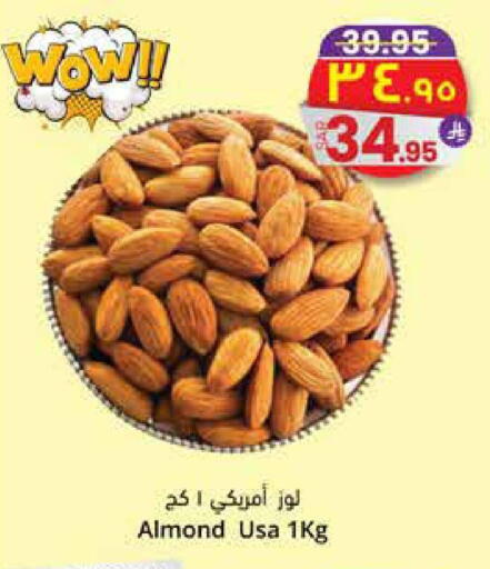 available at City Flower in KSA, Saudi Arabia, Saudi - Najran