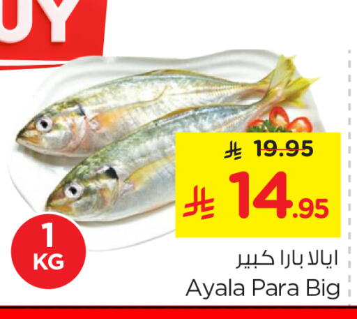 available at نستو in مملكة العربية السعودية, السعودية, سعودية - الرياض