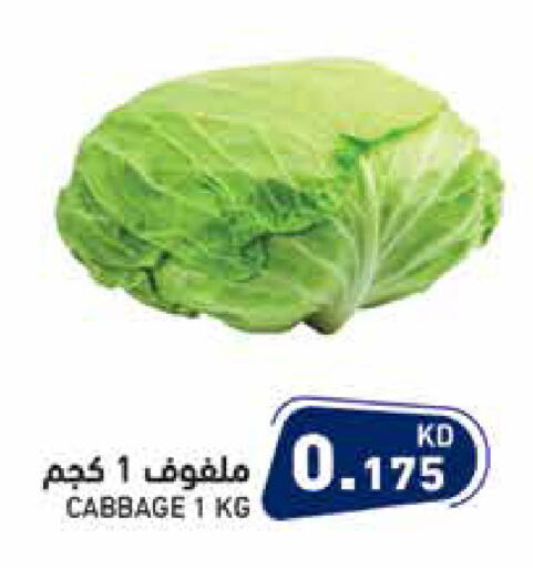 Cabbage available at  رامز in الكويت - محافظة الأحمدي