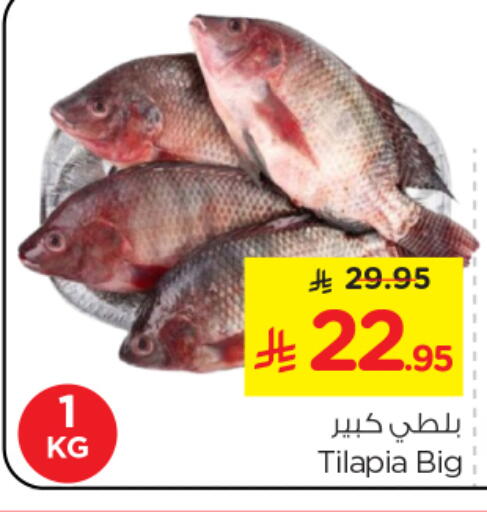 available at نستو in مملكة العربية السعودية, السعودية, سعودية - المجمعة