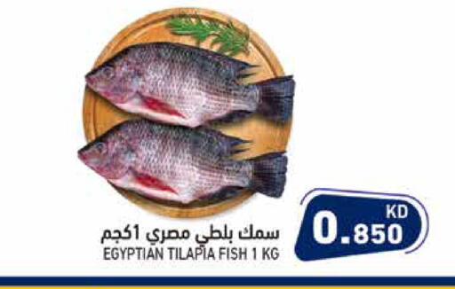 available at Ramez in Kuwait - Jahra Governorate