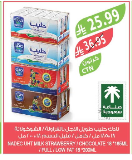 Strawberry available at Farm  in KSA, Saudi Arabia, Saudi - Qatif