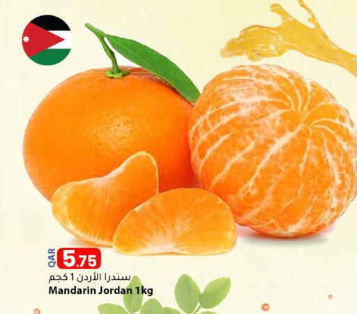Mandarin from Jordan available at دانا ماركت in قطر - الضعاين
