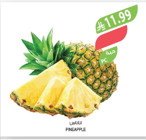 Pineapple available at Farm  in KSA, Saudi Arabia, Saudi - Najran