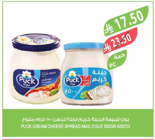 available at المزرعة in مملكة العربية السعودية, السعودية, سعودية - تبوك