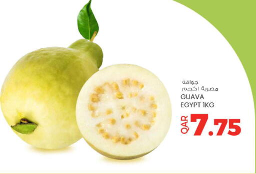 Guava from Egypt available at أنصار جاليري in قطر - الشحانية