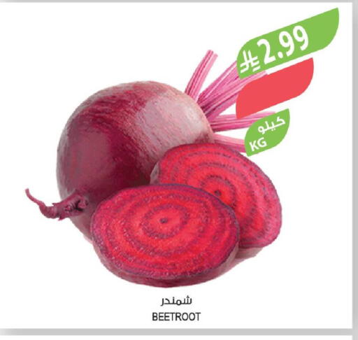 Beetroot available at Farm  in KSA, Saudi Arabia, Saudi - Najran
