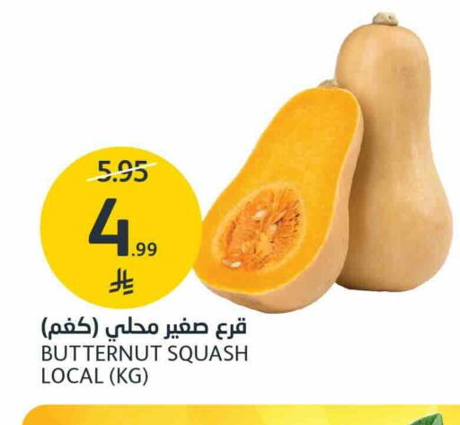 Squash available at AlJazera Shopping Center in KSA, Saudi Arabia, Saudi - Riyadh