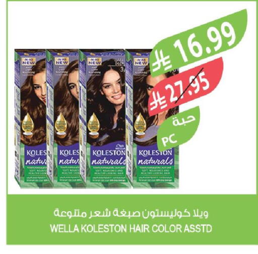 available at المزرعة in مملكة العربية السعودية, السعودية, سعودية - تبوك