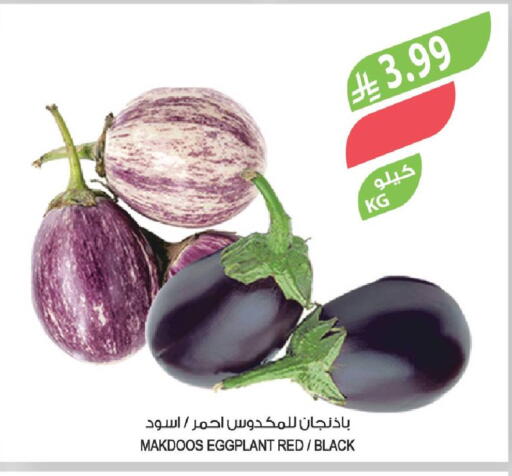 Eggplant available at Farm  in KSA, Saudi Arabia, Saudi - Al Hasa