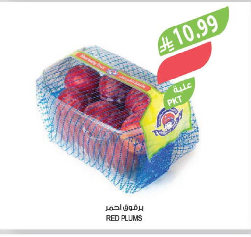 Plums available at Farm  in KSA, Saudi Arabia, Saudi - Abha