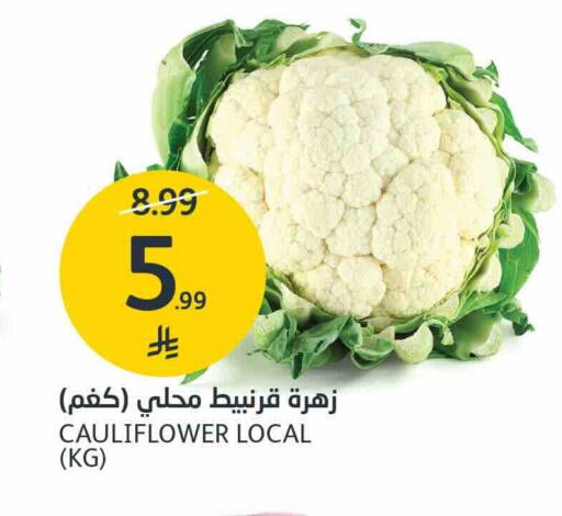 Cauliflower available at AlJazera Shopping Center in KSA, Saudi Arabia, Saudi - Riyadh