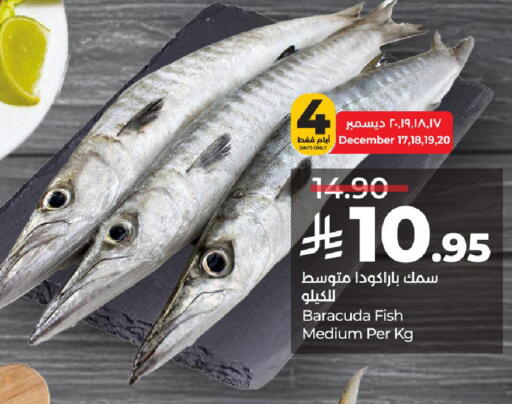 available at لولو هايبرماركت in مملكة العربية السعودية, السعودية, سعودية - حائل‎