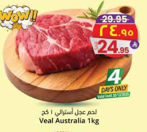 available at City Flower in KSA, Saudi Arabia, Saudi - Sakaka