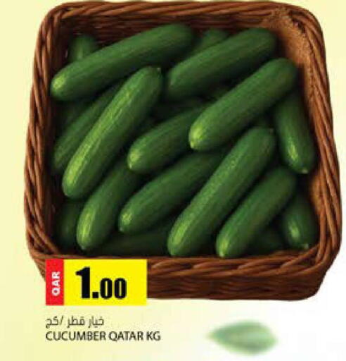 Cucumber from Qatar available at جراند هايبرماركت in قطر - أم صلال