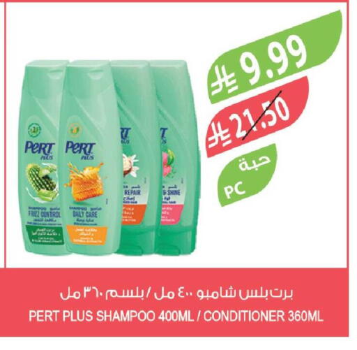 available at المزرعة in مملكة العربية السعودية, السعودية, سعودية - تبوك